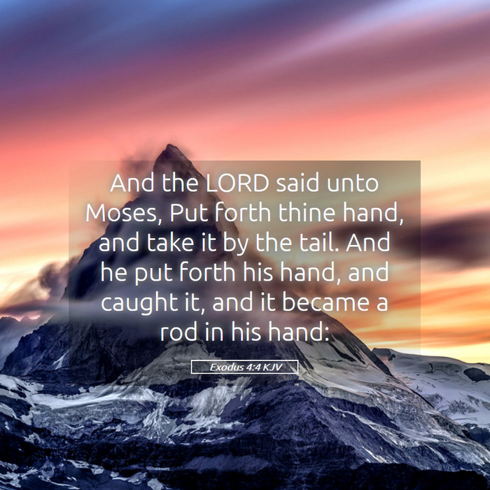 Exodus 4:4 KJV Bible Study