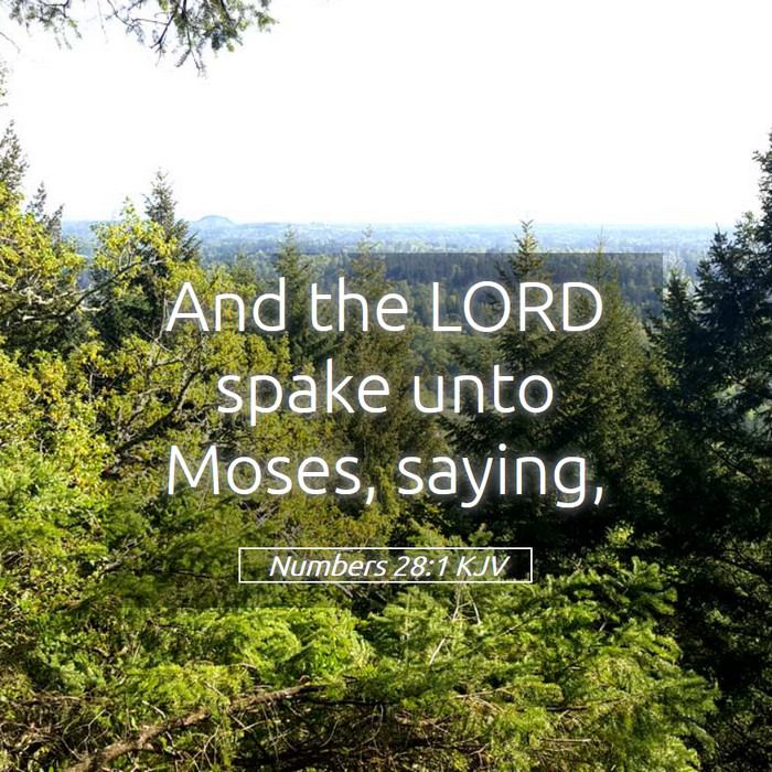 Numbers 28:1 KJV Bible Study