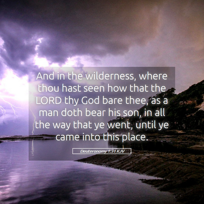 Deuteronomy 1:31 KJV Bible Study