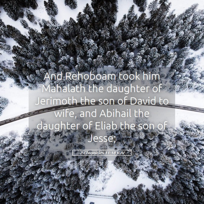 2 Chronicles 11:18 KJV Bible Study