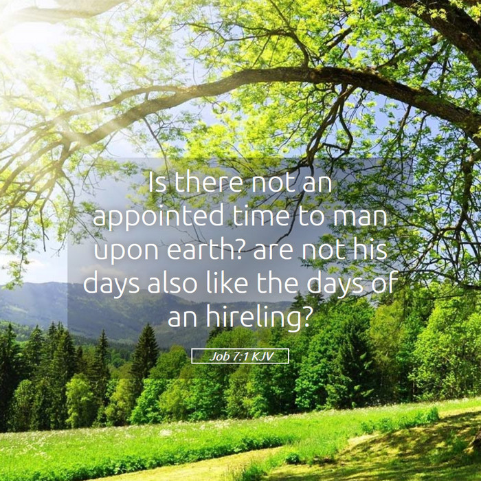 Job 7:1 KJV Bible Study
