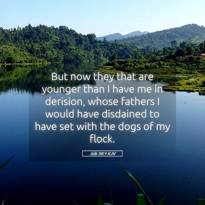 Job 30:1 KJV Bible Study