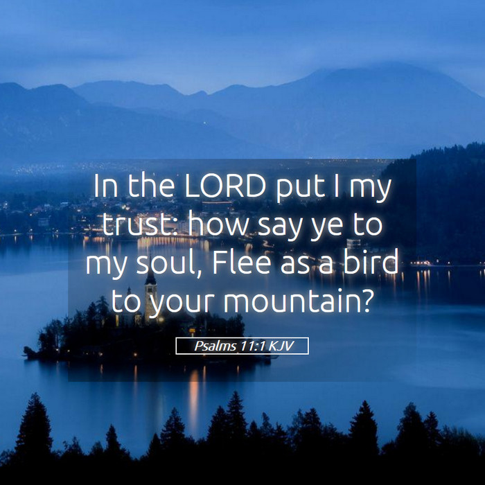 Psalms 11:1 KJV Bible Study