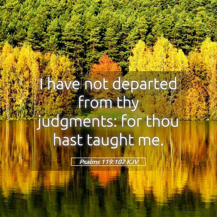 Psalms 119:102 KJV Bible Study