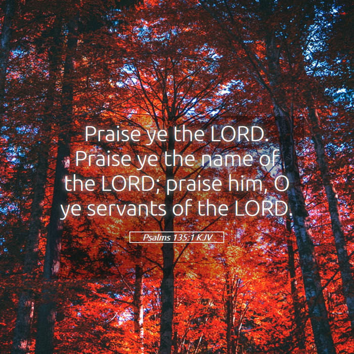 Psalms 135:1 KJV Bible Study