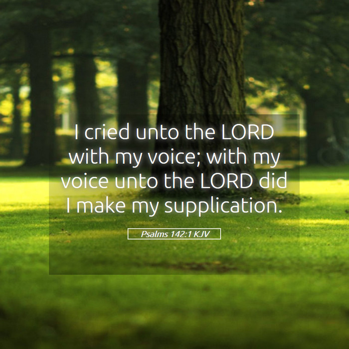 Psalms 142:1 KJV Bible Study