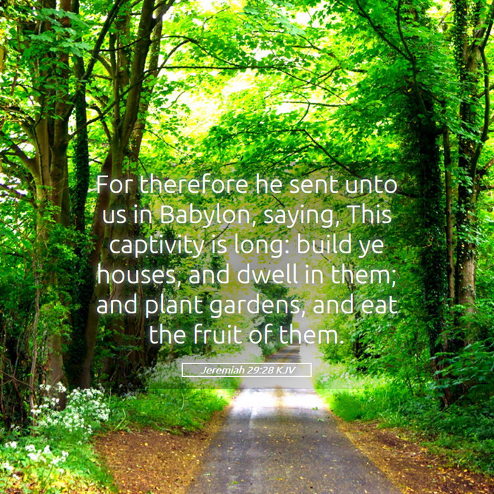 Jeremiah 29:28 KJV Bible Study