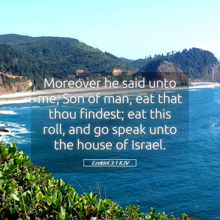 Ezekiel 3:1 KJV Bible Study
