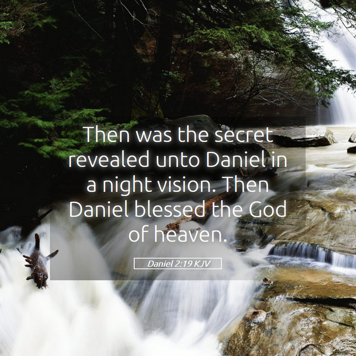 Daniel 2:19 KJV Bible Study