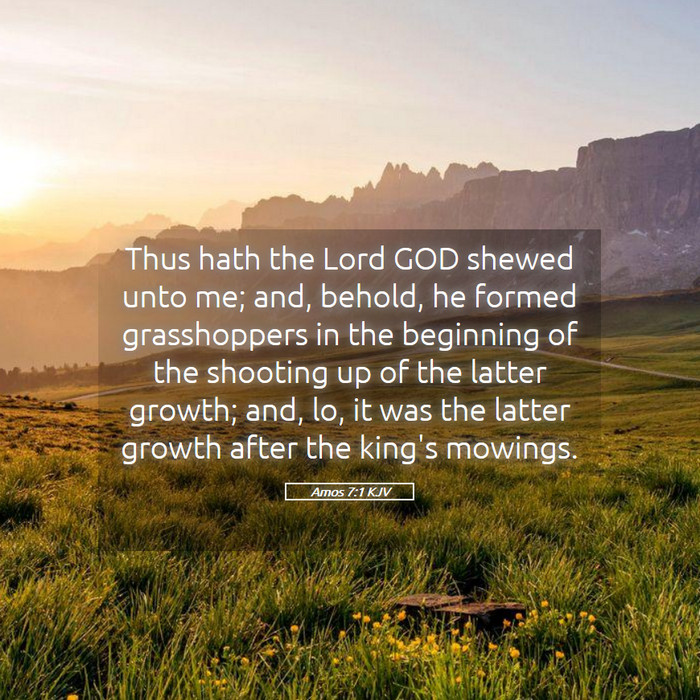 Amos 7:1 KJV Bible Study