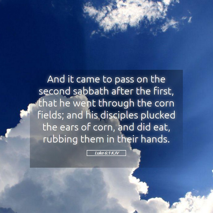 Luke 6:1 KJV Bible Study