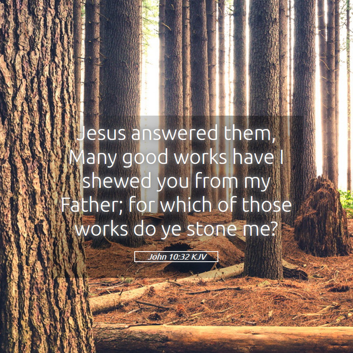 John 10:32 KJV Bible Study