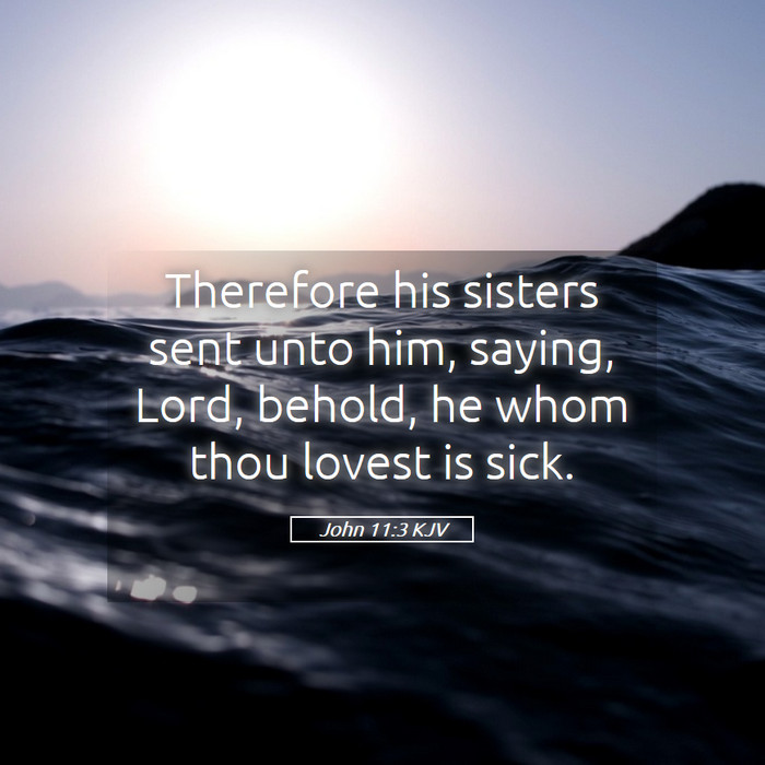 John 11:3 KJV Bible Study