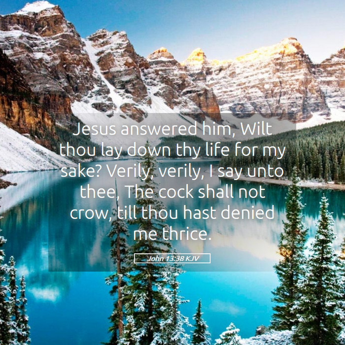 John 13:38 KJV Bible Study