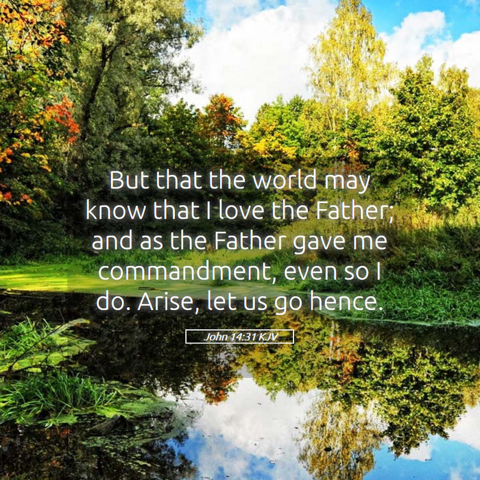 John 14:31 KJV Bible Study