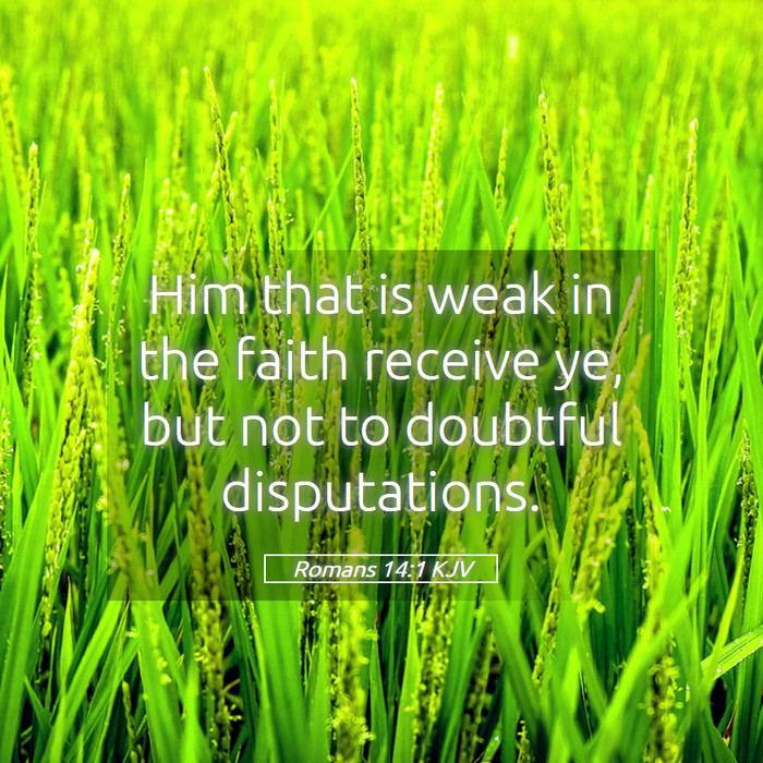 Romans 14:1 KJV Bible Study