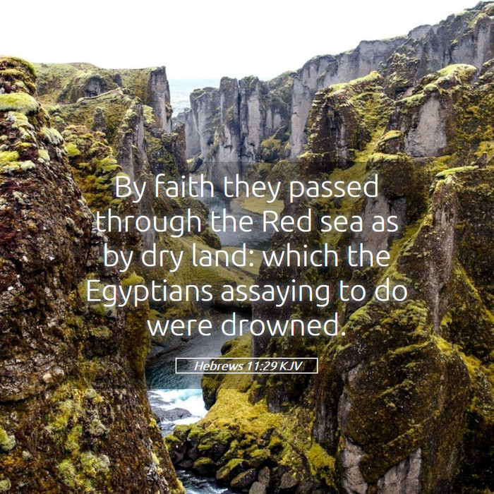 Hebrews 11:29 KJV Bible Study